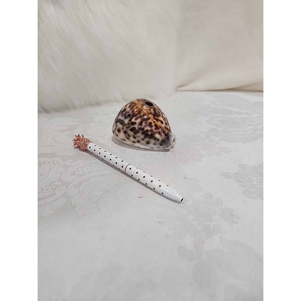 VINTAGE PEN HOLDER,cypraea tigris, 3+", Cowrie Shell